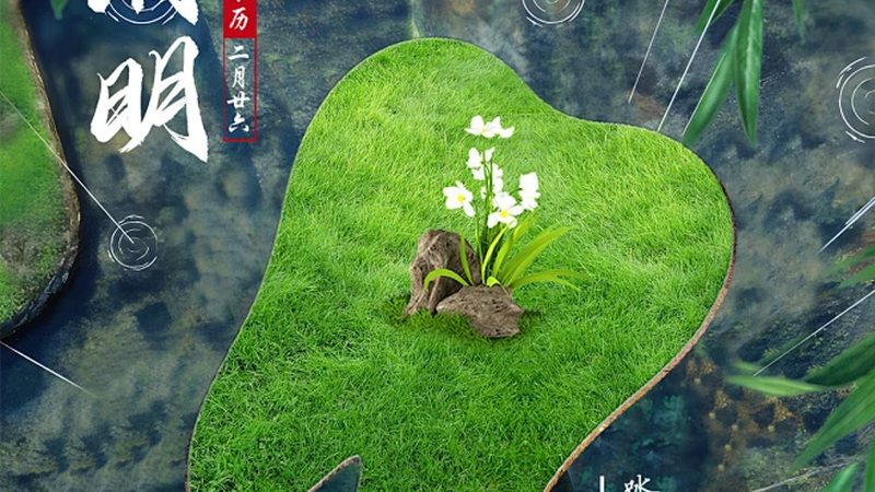 半口种植牙：成都地区价格因素全解析**